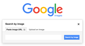 Image search results Google Image