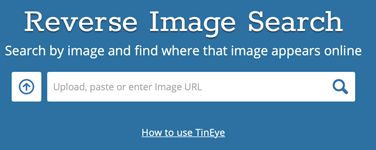 Image search results Tineye